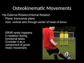 Transverse Hip Rotation notes on BIOMECHANICS OF THE HIP JOINT.pptx
