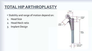 Biomechanics of the Hip Joint | PDF
