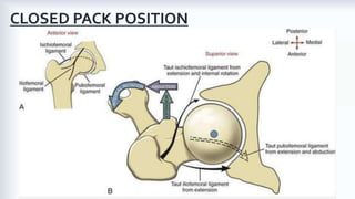 Biomechanics of the Hip Joint | PDF