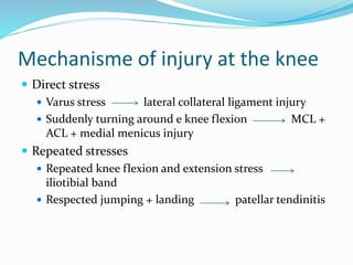 Biomechanics of the knee joint | PPTX