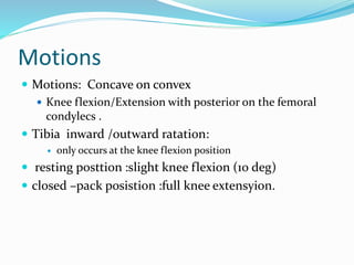 Biomechanics of the knee joint | PPTX