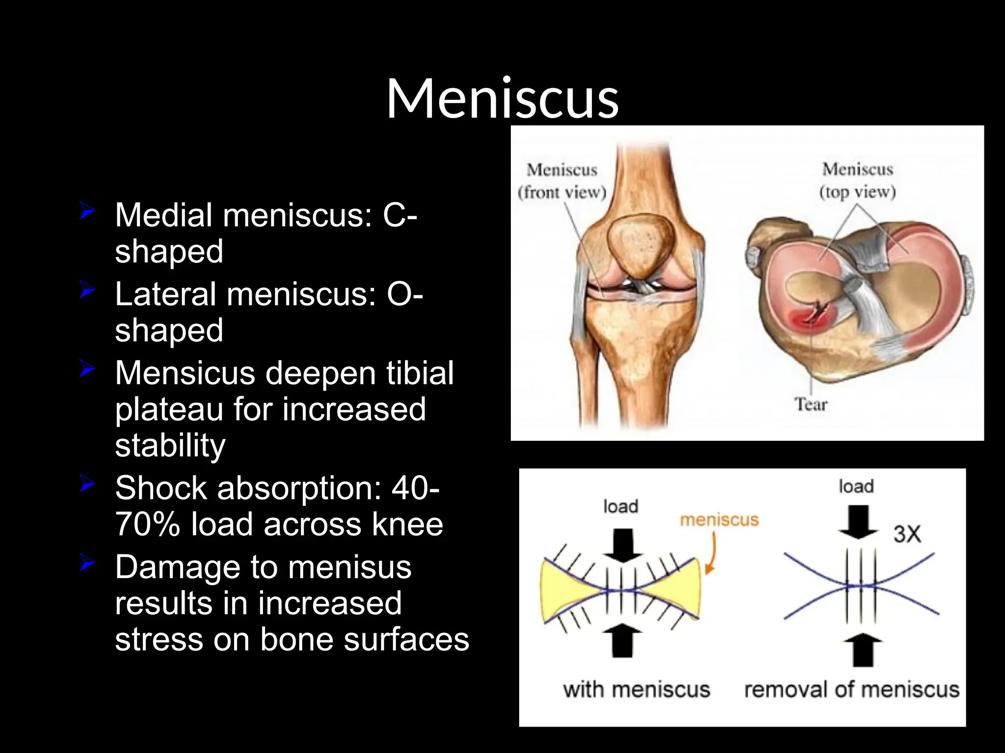 BIOMECHANICS OF THE KNEE JOINT.pptx and detailed information | PPTX