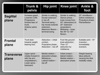 Biomechanics of the running gait.ppt