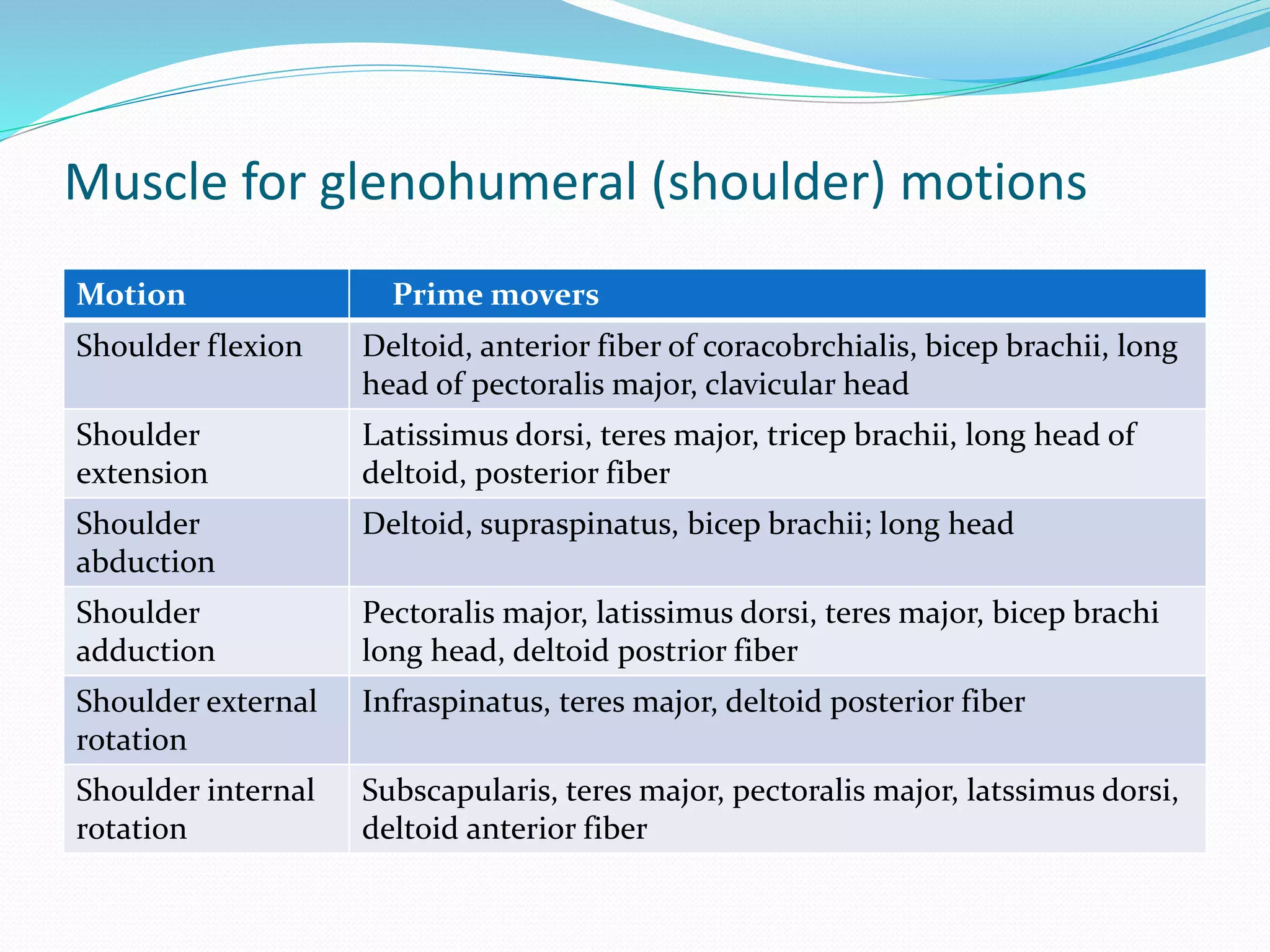 Muscle for glenohumeral (shoulder) motions
Motion Prime movers
Shoulder flexion Deltoid, anterior fiber of coracobrchialis, bicep brachii, long
head of pectoralis major, clavicular head
Shoulder
extension
Latissimus dorsi, teres major, tricep brachii, long head of
deltoid, posterior fiber
Shoulder
abduction
Deltoid, supraspinatus, bicep brachii; long head
Shoulder
adduction
Pectoralis major, latissimus dorsi, teres major, bicep brachi
long head, deltoid postrior fiber
Shoulder external
rotation
Infraspinatus, teres major, deltoid posterior fiber
Shoulder internal
rotation
Subscapularis, teres major, pectoralis major, latssimus dorsi,
deltoid anterior fiber
 