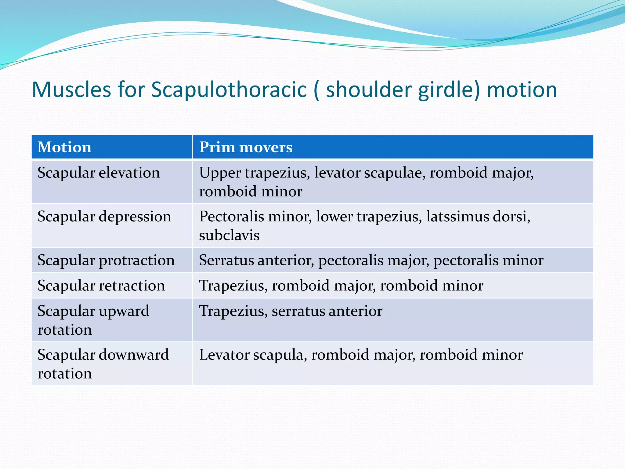Muscles for Scapulothoracic ( shoulder girdle) motion
Motion Prim movers
Scapular elevation Upper trapezius, levator scapulae, romboid major,
romboid minor
Scapular depression Pectoralis minor, lower trapezius, latssimus dorsi,
subclavis
Scapular protraction Serratus anterior, pectoralis major, pectoralis minor
Scapular retraction Trapezius, romboid major, romboid minor
Scapular upward
rotation
Trapezius, serratus anterior
Scapular downward
rotation
Levator scapula, romboid major, romboid minor
 