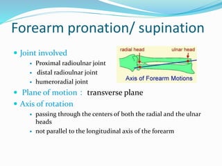 Bio-mechanics of the wrist joint | PPTX