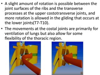 Vertebral Rptation With Rib Rotation Biomechanics of thoracic spine ppt @Dr.Muskan Rastogi (PT) BPT,MPT(OBG ...