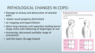 Biomechanics of thorax | PPTX