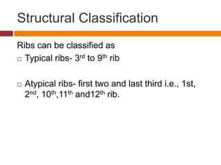 Biomechanics of Thorax.pptx
