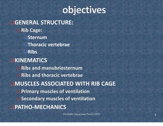 Comprehensive Overview of Rib Cage Anatomy, Kinematics, and Muscles of ...