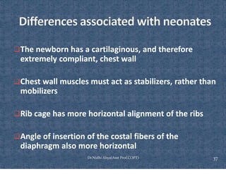 Comprehensive Overview of Rib Cage Anatomy, Kinematics, and Muscles of ...