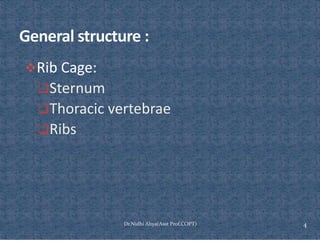 Ventilating Rib Comprehensive Overview of Rib Cage Anatomy, Kinematics, and Muscles of ...