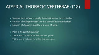 Internal Rotation T6 Biomechanics of thorax & lumbar.pptx