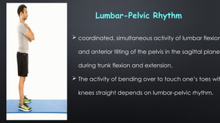 Biomechanics of vertebral column and spine .pptx