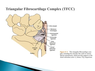 Biomechanics Of Wrist.pptx