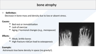 biomechanics presentation.pptx (human body strength | PPTX