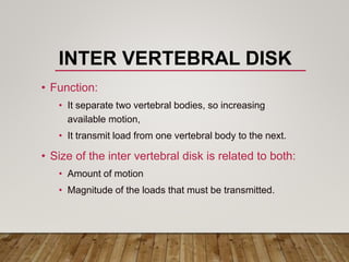 INTER VERTEBRAL DISK
• Function:
• It separate two vertebral bodies, so increasing
available motion,
• It transmit load from one vertebral body to the next.
• Size of the inter vertebral disk is related to both:
• Amount of motion
• Magnitude of the loads that must be transmitted.
 