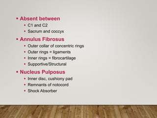  Absent between
 C1 and C2
 Sacrum and coccyx
 Annulus Fibrosus
 Outer collar of concentric rings
 Outer rings = ligaments
 Inner rings = fibrocartilage
 Supportive/Structural
 Nucleus Pulposus
 Inner disc, cushiony pad
 Remnants of notocord
 Shock Absorber
 