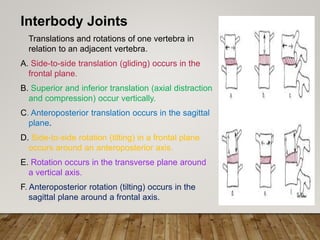 Interbody Joints
Translations and rotations of one vertebra in
relation to an adjacent vertebra.
A. Side-to-side translation (gliding) occurs in the
frontal plane.
B. Superior and inferior translation (axial distraction
and compression) occur vertically.
C. Anteroposterior translation occurs in the sagittal
plane.
D. Side-to-side rotation (tilting) in a frontal plane
occurs around an anteroposterior axis.
E. Rotation occurs in the transverse plane around
a vertical axis.
F. Anteroposterior rotation (tilting) occurs in the
sagittal plane around a frontal axis.
 
