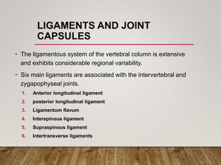 LIGAMENTS AND JOINT
CAPSULES
• The ligamentous system of the vertebral column is extensive
and exhibits considerable regional variability.
• Six main ligaments are associated with the intervertebral and
zygapophyseal joints.
1. Anterior longitudinal ligament
2. posterior longitudinal ligament
3. Ligamentum flavum
4. Interspinous ligament
5. Supraspinous ligament
6. Intertransverse ligaments
 