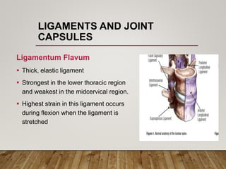 LIGAMENTS AND JOINT
CAPSULES
Ligamentum Flavum
 Thick, elastic ligament
 Strongest in the lower thoracic region
and weakest in the midcervical region.
 Highest strain in this ligament occurs
during flexion when the ligament is
stretched
 