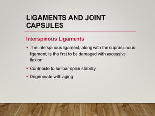 LIGAMENTS AND JOINT
CAPSULES
Interspinous Ligaments
 The interspinous ligament, along with the supraspinous
ligament, is the first to be damaged with excessive
flexion
 Contribute to lumbar spine stability
 Degenerate with aging
 