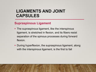 LIGAMENTS AND JOINT
CAPSULES
Supraspinous Ligament
 The supraspinous ligament, like the interspinous
ligament, is stretched in flexion, and its fibers resist
separation of the spinous processes during forward
flexion.
 During hyperflexion, the supraspinous ligament, along
with the interspinous ligament, is the first to fail
 