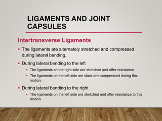 LIGAMENTS AND JOINT
CAPSULES
Intertransverse Ligaments
 The ligaments are alternately stretched and compressed
during lateral bending.
 During lateral bending to the left
 The ligaments on the right side are stretched and offer resistance
 The ligaments on the left side are slack and compressed during this
motion.
 During lateral bending to the right
 The ligaments on the left side are stretched and offer resistance to this
motion
 