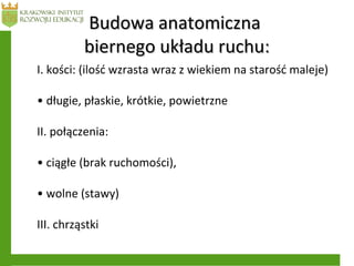 Budowa anatomicznaBudowa anatomiczna
biernego układu ruchu:biernego układu ruchu:
I. kości: (ilość wzrasta wraz z wiekiem na starość maleje)
• długie, płaskie, krótkie, powietrzne
II. połączenia:
• ciągłe (brak ruchomości),
• wolne (stawy)
III. chrząstki
 