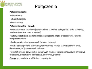 PołączeniaPołączenia
Połączenia ciągłe:
• więzozrosty
• chrząstkozrosty
• kościozrosty
Połączenia wolne (stawy):
• trzy zasadnicze składowe (powierzchnie stawowe pokryte chrząstką stawową,
torebka stawowa, jama stawowa)
• cztery dodatkowo niestałe składniki (więzadła, krążki śródstawowe, łąkotki,
obrąbki stawowe)
• liczba powierzchni stawowych (proste, złożone)
• liczba osi względem, których wykonywane są ruchy s stawie (jednoosiowe,
dwuosiowe, trójosiowe-wieloosiowe)
• ukształtowanie powierzchni stawowych (kuliste, kulisto-panewkowe, kłykciowo-
eliptyczne, siodełkowe, zawiasowe, obrotowe, płaskie)
Chrząstki: • szklista, • włóknista, • sprężysta
 