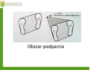 Obszar podparcia
 