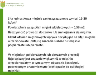 Siła jednostkowa mięśnia zanieczyszczonego wynosi 16-30
N/cm2
Powierzchnia wszystkich mięśni szkieletowych = 0,56 m2
Bezczynność prowadzi do zaniku lub zmniejszania się mięśnia.
Układ włókien mięśniowych wpływa decydująco na siłę : mięśnie
wrzecionowate (obłe) są znacznie słabsze niż mięśnie
półpierzaste lub pierzaste.
W mięśniach półpierzastych lub pierzastych przekrój
fizjologiczny jest znacznie większy niż w mięśniu
wrzecionowatym o tym samym obwodzie i przekroju
poprzecznym anatomicznym (prostopadle do osi długiej
mięśnia).
 