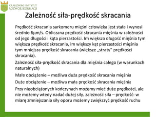 Zależność siła-prędkość skracaniaZależność siła-prędkość skracania
Prędkość skracania sarkomeru mięśni człowieka jest stała i wynosi
średnio 6μm/s. Obliczana prędkość skracania mięśnia w zależności
od jego długości i kąta pierzastości. Im większa długość mięśnia tym
większa prędkość skracania, im większy kąt pierzastości mięśnia
tym mniejsza prędkość skracania (większe „straty” prędkości
skracania).
Zależność siła-prędkość skracania dla mięśnia całego (w warunkach
naturalnych)
Małe obciążenie – możliwa duża prędkość skracania mięśnia
Duże obciążenie – możliwa mała prędkość skracania mięśnia
Przy nieobciążonych kończynach możemy mieć duże prędkości, ale
nie możemy wtedy nadać dużej siły. zależność siła – prędkość: w
miarę zmniejszania siły oporu możemy zwiększyć prędkość ruchu
 