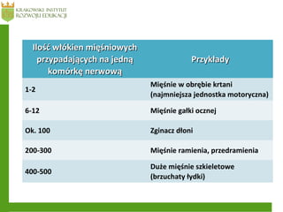 Ilość włókien mięśniowychIlość włókien mięśniowych
przypadających na jednąprzypadających na jedną
komórkę nerwowąkomórkę nerwową
PrzykładyPrzykłady
1-2
Mięśnie w obrębie krtani
(najmniejsza jednostka motoryczna)
6-12 Mięśnie gałki ocznej
Ok. 100 Zginacz dłoni
200-300 Mięśnie ramienia, przedramienia
400-500
Duże mięśnie szkieletowe
(brzuchaty łydki)
 