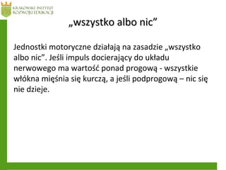 „„wszystko albo nic”wszystko albo nic”
Jednostki motoryczne działają na zasadzie „wszystko
albo nic”. Jeśli impuls docierający do układu
nerwowego ma wartość ponad progową - wszystkie
włókna mięśnia się kurczą, a jeśli podprogową – nic się
nie dzieje.
 