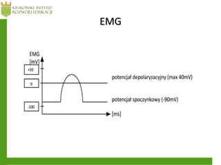 EMGEMG
 