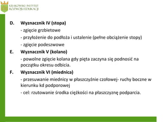 D. Wyznacznik IV (stopa)
- zgięcie grzbietowe
- przyłożenie do podłoża i ustalenie (pełne obciążenie stopy)
- zgięcie podeszwowe
E. Wyznacznik V (kolano)
- powolne zgięcie kolana gdy pięta zaczyna się podnosić na
początku okresu odbicia.
F. Wyznacznik VI (miednica)
- przesuwanie miednicy w płaszczyźnie czołowej- ruchy boczne w
kierunku kd podporowej
- cel: rzutowanie środka ciężkości na płaszczyznę podparcia.
 