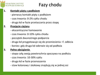 Fazy choduFazy chodu
1. Kontakt pięty z podłożem
- pierwszy kontakt pięty z podłożem
- czas trwania: 0-2% cyklu chodu
- druga kd w fazie przetaczania przez stopę
2. Przejęcie ciężaru
- ekscentryczne hamowanie
- czas trwania: 0-10% cyklu chodu
- początek dwunożnego podparcia
- druga kd przygotowuje się do przeniesienia –f. odbicia
- koniec: gdy druga kd oderwie się od podłoża
3. Pełne obciążenie
- stopa całą swoją powierzchnia spoczywa na podłożu
- czas trwania: 10-30% cyklu
- druga kd w fazie przenoszenia
- staw kolanowy i skokowy znajdują się w jednej osi
 