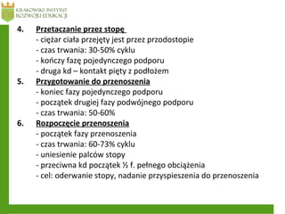 4. Przetaczanie przez stopę
- ciężar ciała przejęty jest przez przodostopie
- czas trwania: 30-50% cyklu
- kończy fazę pojedynczego podporu
- druga kd – kontakt pięty z podłożem
5. Przygotowanie do przenoszenia
- koniec fazy pojedynczego podporu
- początek drugiej fazy podwójnego podporu
- czas trwania: 50-60%
6. Rozpoczęcie przenoszenia
- początek fazy przenoszenia
- czas trwania: 60-73% cyklu
- uniesienie palców stopy
- przeciwna kd początek ½ f. pełnego obciążenia
- cel: oderwanie stopy, nadanie przyspieszenia do przenoszenia
 