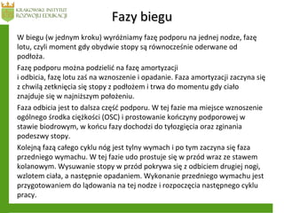 Fazy bieguFazy biegu
W biegu (w jednym kroku) wyróżniamy fazę podporu na jednej nodze, fazę
lotu, czyli moment gdy obydwie stopy są równocześnie oderwane od
podłoża.
Fazę podporu można podzielić na fazę amortyzacji
i odbicia, fazę lotu zaś na wznoszenie i opadanie. Faza amortyzacji zaczyna się
z chwilą zetknięcia się stopy z podłożem i trwa do momentu gdy ciało
znajduje się w najniższym położeniu.
Faza odbicia jest to dalsza część podporu. W tej fazie ma miejsce wznoszenie
ogólnego środka ciężkości (OSC) i prostowanie kończyny podporowej w
stawie biodrowym, w końcu fazy dochodzi do tyłozgięcia oraz zginania
podeszwy stopy.
Kolejną fazą całego cyklu nóg jest tylny wymach i po tym zaczyna się faza
przedniego wymachu. W tej fazie udo prostuje się w przód wraz ze stawem
kolanowym. Wysuwanie stopy w przód pokrywa się z odbiciem drugiej nogi,
wzlotem ciała, a następnie opadaniem. Wykonanie przedniego wymachu jest
przygotowaniem do lądowania na tej nodze i rozpoczęcia następnego cyklu
pracy.
 