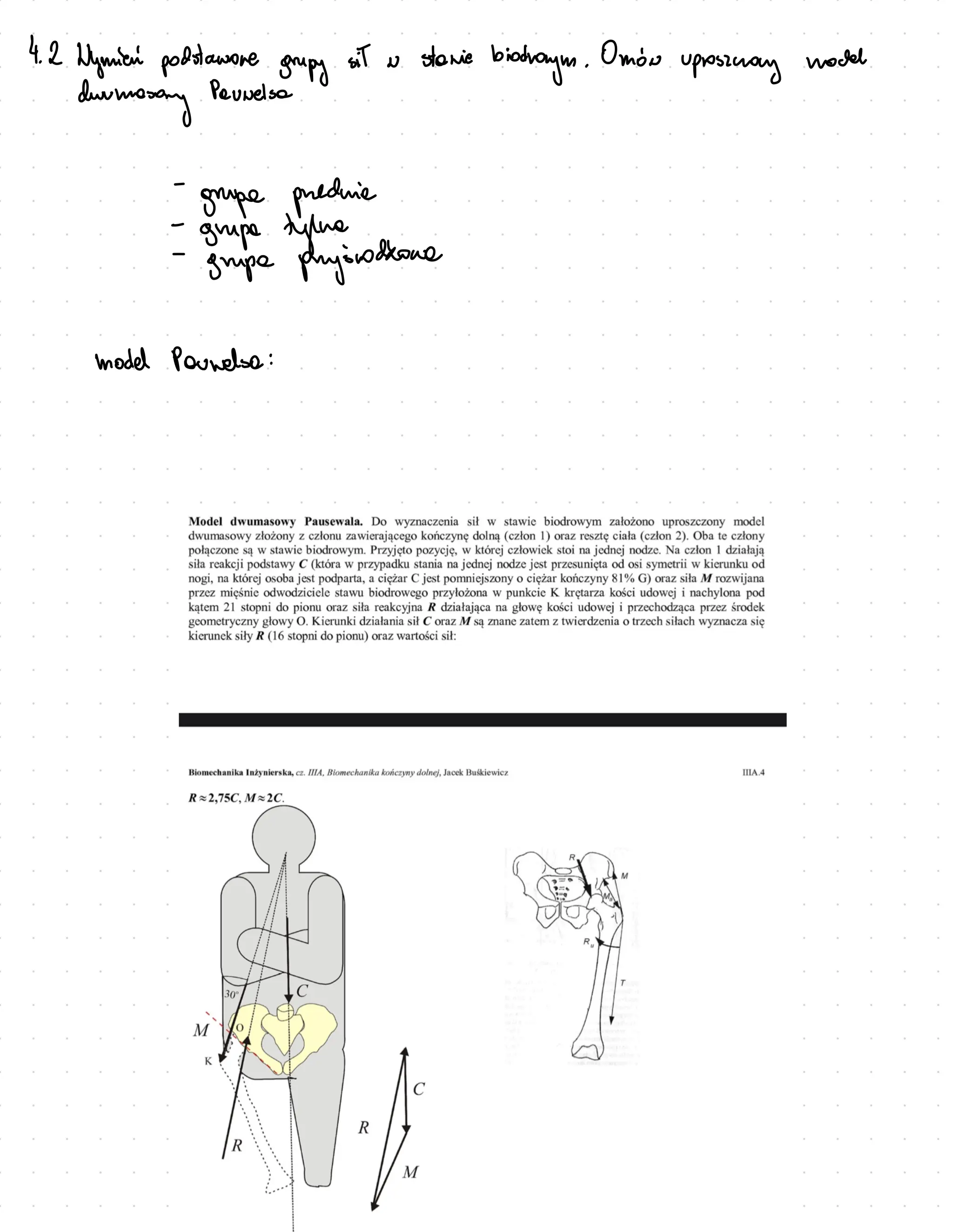 4.
2
Wymica podtawore grupy
sit o stanic
biodroym .
Omor
uposimay
modd
duvmosary
Pauwelsa
-
grupe preduie
-
grupa tylmasnodkowa
-
grupa pry
model Pauwelso :
 