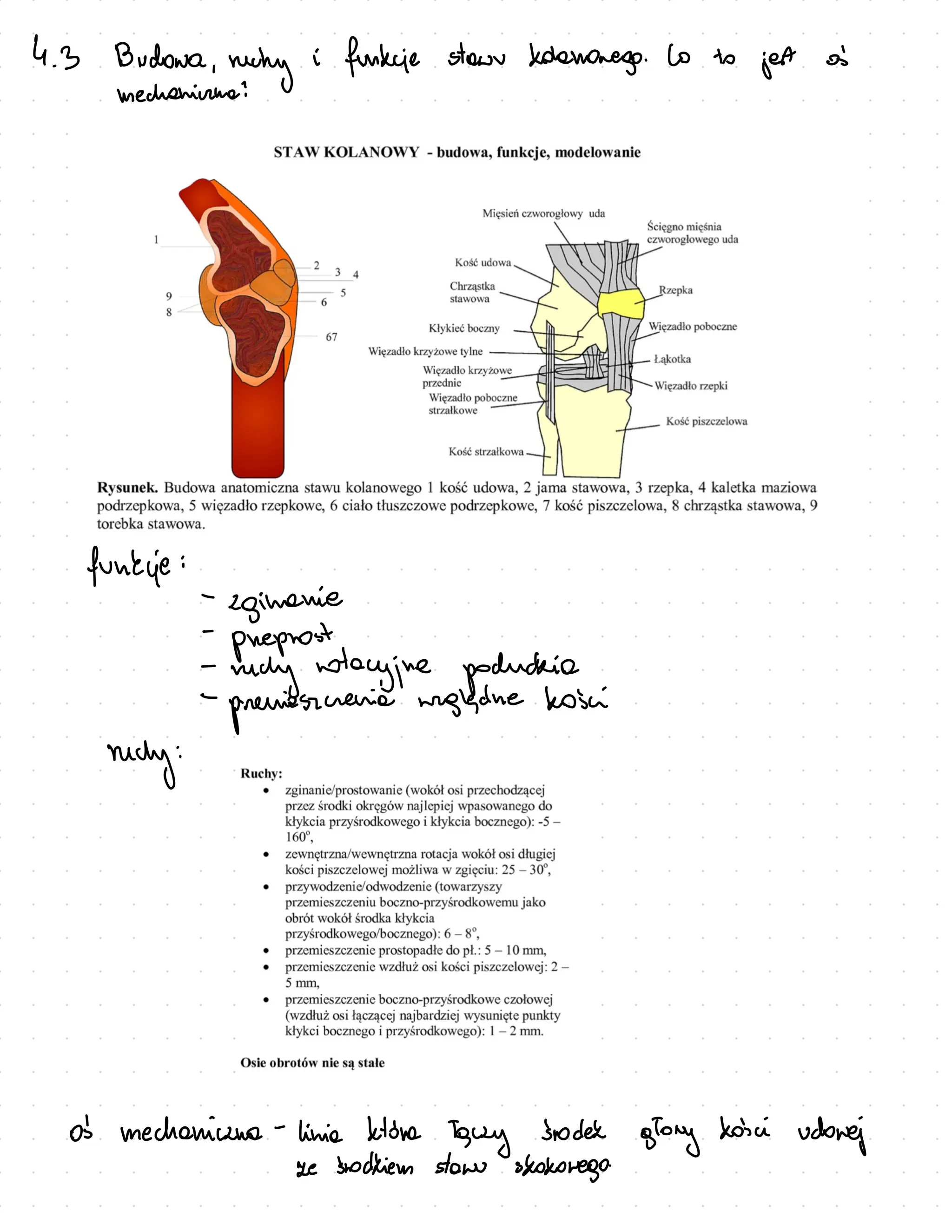 4 .
3
Budowa,
nchy
i funkie star Edenorego Co to
jet
fundie :
-
ginanie
-preposa
tacyjne poductio
-presieszeria megladne bosci
recly
:
o mechanicna-linia tone
Taury sodek
glory kaci
udowej
ze scodkiem stawo shoborego
 