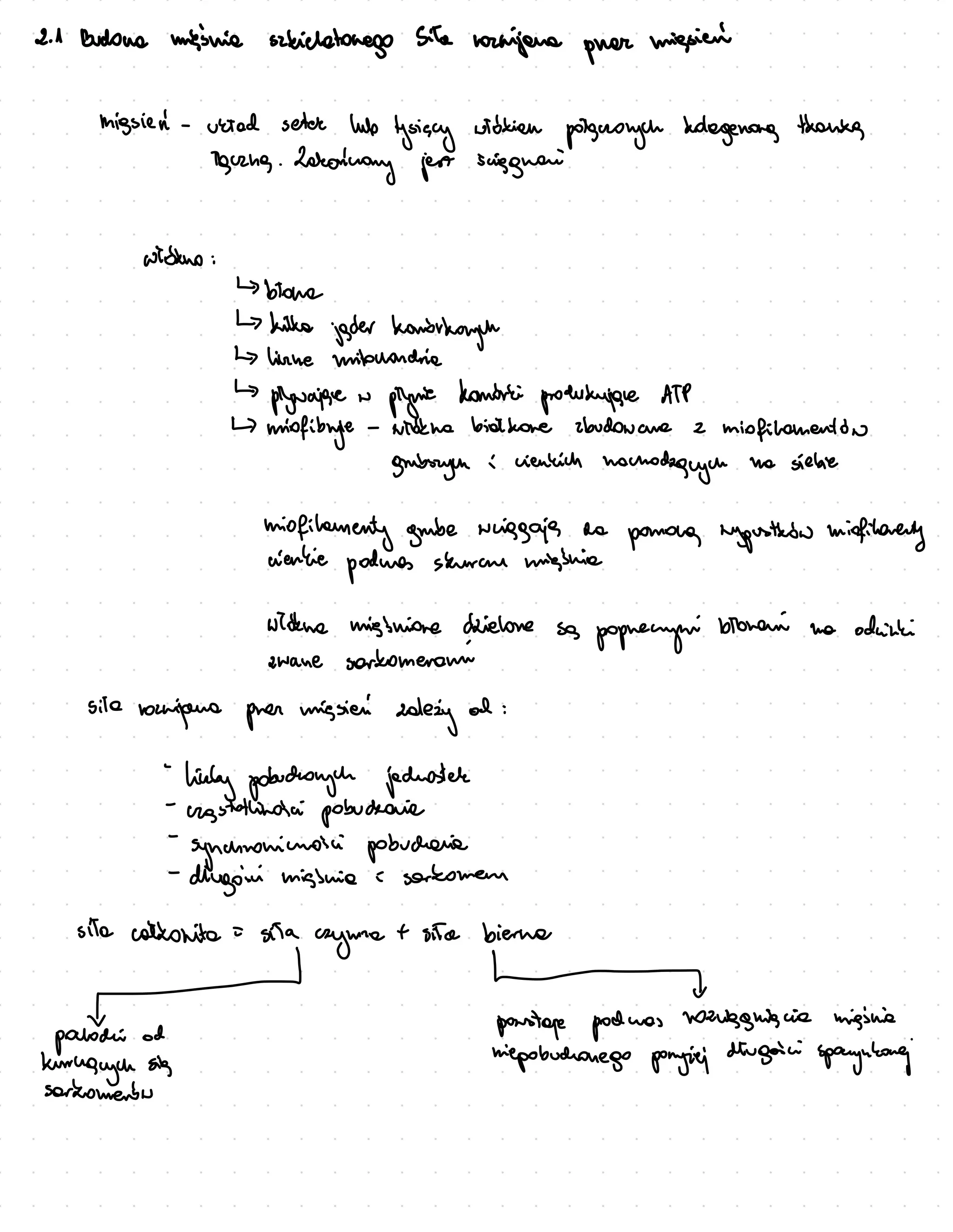 2.
1 Budona missnia sibidatorego sita
vomijana puer
mission
migsien-uatad setce Wil
tysiscy vibrien
potguaych bolagenors thanks
Turne .
Zoronary jest siggnai
widkno :
↳> brome
↳ bilke
jeder kovorbach
↳ linke mitcondrie
↳
piynajqe w
pignia
komori
produzuique ATP
4)
mixfibugle -
widdma biabore zbudowave 2
miofilamentor
grubazym i vienkich
machodaguyce na siebie
miofilamenty grube wiggajes no
poore ryportion misfilrenty
cientie
podures skuran mignia
wine miginiore chielone so
popremymi
storam na odvinki
awane sorkomenemi
site
variana per mission
colezy
od :
hinby pobuchongch jederatel
-
rgstatlinaci pobucario
-synchronicoici pobucharia
-
divgoini miginia i sorkomem
sitcanite
= sita
cayune
+ site biere
-
patodi
ad postage poduas varigghiguia miginia
un sig nicpobuchonego ponyiej dirgoici spocynkong
kuruauy
sorkomenon
 