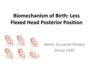 Biomechanism of Birth: Less
Flexed Head Posterior Position
Name: Suryansh Pandey
Group 1430
 