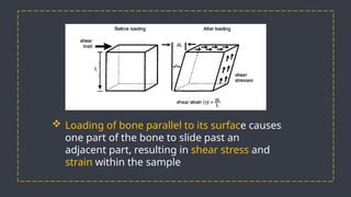 Parallel Medium Bone Biomechanics of Fracture Healing: Understanding Bone Mechanics and ...