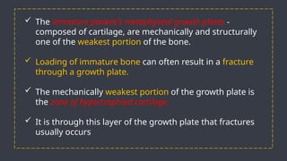 Biomechanics of Fracture Healing: Understanding Bone Mechanics and ...