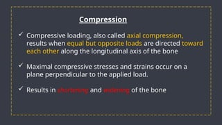 Biomechanics of Fracture Healing: Understanding Bone Mechanics and ...