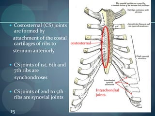 BIOMECHA OF THORAC AND RIB CAGE.pptx