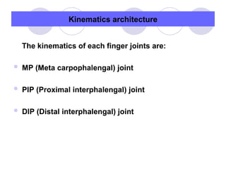 Kinematics architecture
The kinematics of each finger joints are:
 MP (Meta carpophalengal) joint
 PIP (Proximal interphalengal) joint
 DIP (Distal interphalengal) joint
 