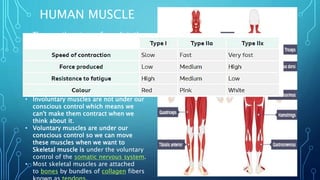 Biomechatronics | PPTX